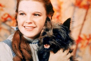 6 мест упокоения знаменитых собак Запада