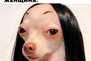 Не ищите здесь смысл. Здесь в основном маразм