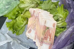Предприниматель попытался дать налоговику взятку в листьях салата