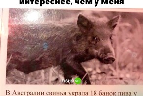 Скрины из соцсетей            