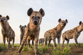 Подборка несправедливости эволюции