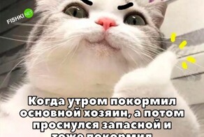 Не ищите здесь смысл. Здесь в основном маразм