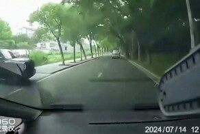 "Автоучитель" из Китая