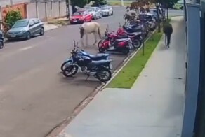 А потом доказывай, что ты не виноват