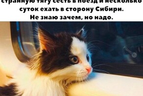 Не ищите здесь смысл. Здесь в основном маразм