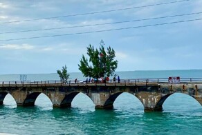 Факты из жизни, которые вас поразят!