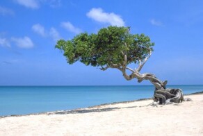 Остров Аруба — страна, отказавшаяся от независимости