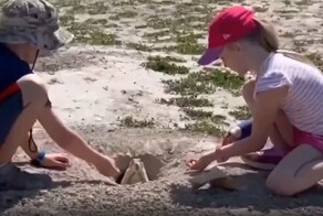 Отвлекающий манёвр