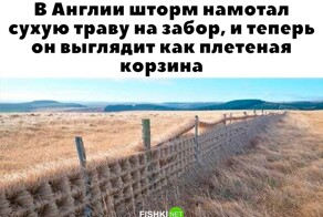 Не ищите здесь смысл. Здесь в основном маразм