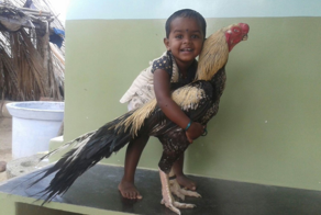 Асиль: боевые петухи из Индии