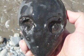 15 фотографий вещей, которые не увидишь каждый день