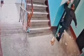 В Перми на пенсионера в подъезде напал мужчина и отобрал сумку с продуктами