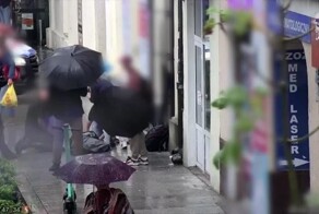 В Польше немецкая овчарка рухнула с 3 этажа и чуть не убила проходившую внизу девушку