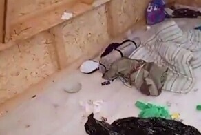 В детском лагере Владивостока подростков поселили в бытовки и заставляли мыть туалеты