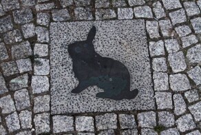 Канинхенфельд – территория свободных кроликов