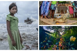 Победители конкурса Mangrove Photography Awards 2024