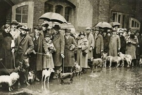 История в фото-1