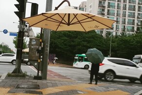 15 отличных концепций из разных стран, которые нужно внедрить повсюду