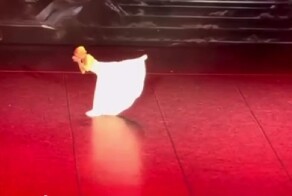 Балет Анастасии Волочковой не слишком впечатляет зрителей