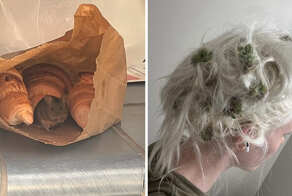 13 фото случайностей, которые превратили хороший день в плохой