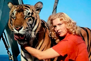 Как снимали фильм "Полосатый рейс": кадры со съемок и 23 интересных факта о фильме