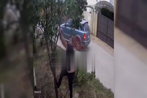 Житель Кубани уничтожил грушевое дерево, которое посадили 18 лет назад жители микрорайона