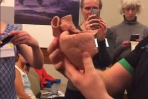 Знаете ли вы, что наше сердце это единая мышца закрученная два раза вокруг себя?