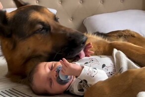 Настоящая дружба с пелёнок