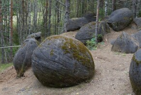 Чиновникам Кировской области грозит срок за кражу валунов из леса