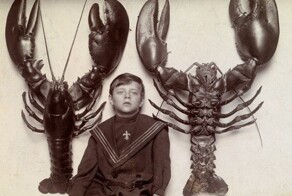 История в фото-3