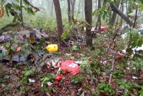 "Больные небом": пилотов самолёта, который разбился в Приморье, нашли мёртвыми