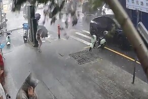 Дерево чуть не покалечило женщину