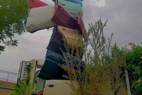Авто-ястреб в Альбукерке