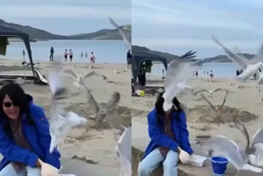 Битва за еду