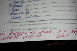 16 забавных учительских пометок в школьных дневниках