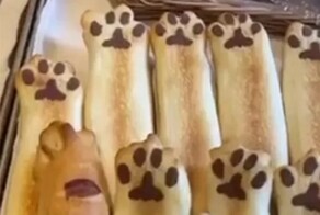 Японская пекарня, в которой вся выпечка посвящена котам