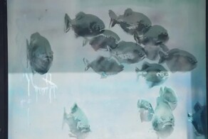 В Лондоне демонтировали полицейскую будку, на которой Бэнкси оставил свой новый рисунок