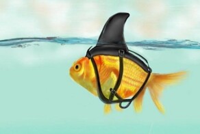 Картинки со&nbsp;смыслом