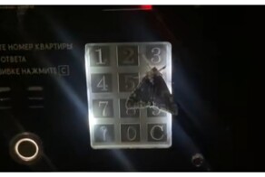 Мотылёк позвонил в домофон