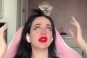 Каково это жить с капуцином в квартире