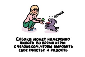 А вдруг ты не знал…