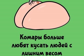 А вдруг ты не знал…