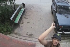 Докопался до столба: липецкий «терминатор» крушил всё на своем пути