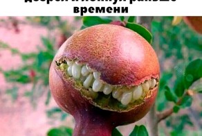 Не ищите здесь смысл. Здесь в основном маразм