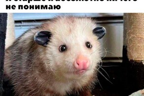 Скрины из соцсетей            