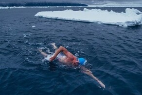 Российские спортсмены завоевали 21 золотую медаль на Кубке мира по зимнему плаванию в Аргентине