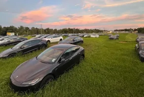 Новые электромобили Tesla обнаружили на заросшем поле