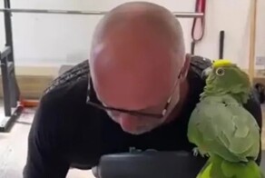 Пернатый тренер, с которым не заскучаешь