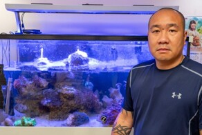 Кораллы в аквариуме чуть не убили семью