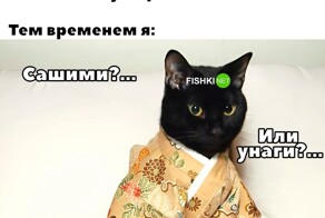 Не ищите здесь смысл. Здесь в основном маразм